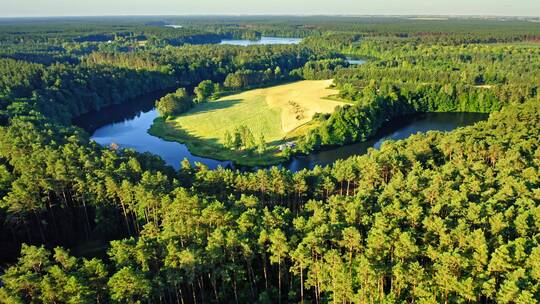 波兰绿色森林之间蓝色蜿蜒的河流