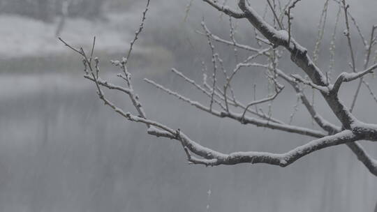 冬季雪景 城市初雪 下雪空镜