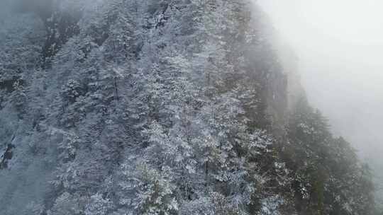 皖南梯田的第一场雪