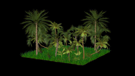 棕榈树和草的自然场景，Alpha通道，循