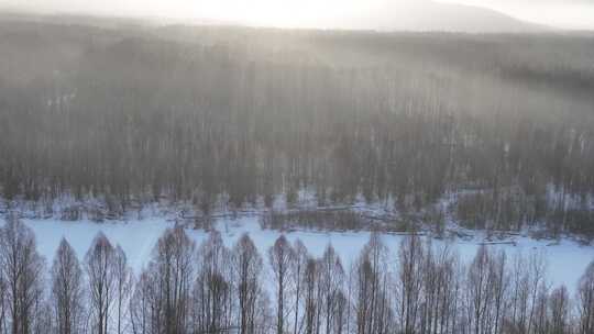 航拍冷空气笼罩的雪原树林