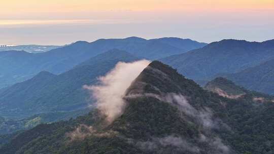 海南乐东尖峰岭国家森林公园云海日出