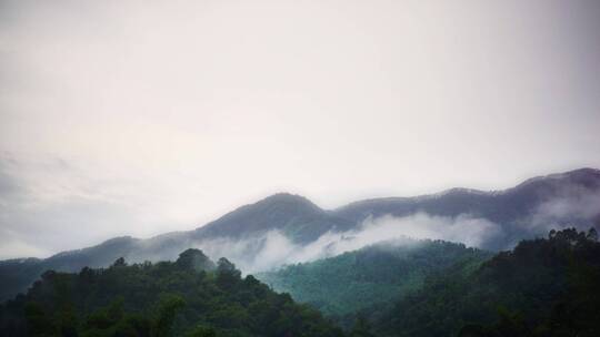 雨后山野林间