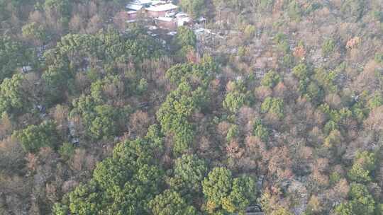 雪后的无锡惠山道观寺庙航拍视频素材模板下载