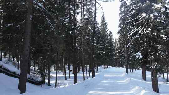 航拍新疆冬季喀纳斯神仙湾晨雾雪山森林雪景