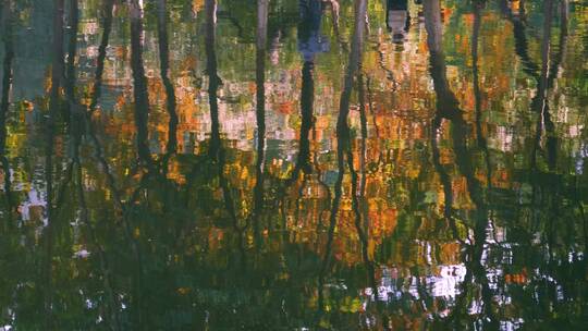 秋天湖面水中的唯美倒影，水波荡漾4k视频