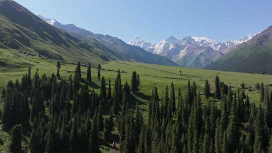 航拍夏天的新疆伊犁夏塔景区风景