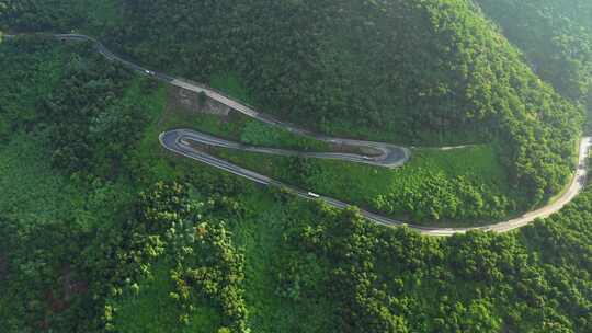 森林 道路 公路 蜿蜒