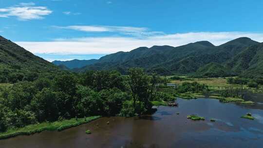 湖北神农架大九湖