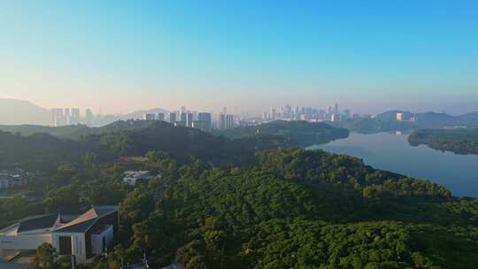 深圳城市绿洲城市之肺