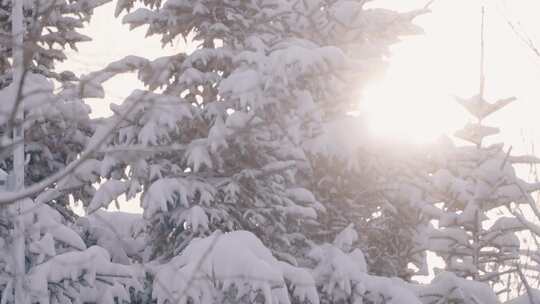 阳光下的雪景