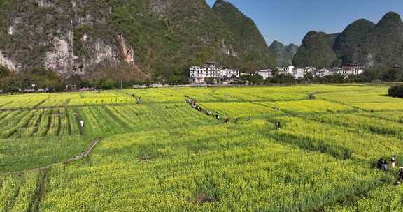 桂林遇龙河流域田园风光