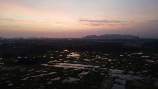 日落下的稻田