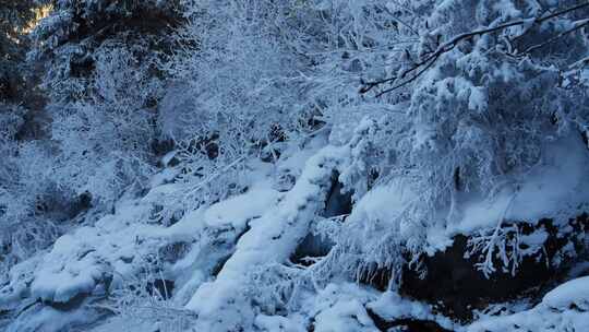 春天冰雪融化 溪流 瀑布森林