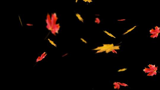秋天落叶视频元素