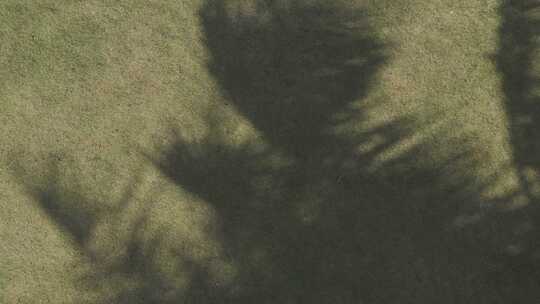 草地上的女孩享受惬意时光