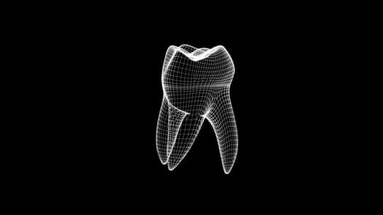 牙齿3D全息图