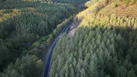 森林公路  航拍开车 航拍 山林驾驶汽车 4k