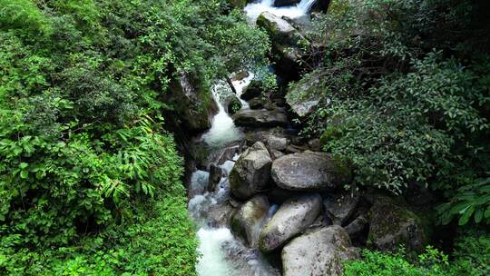 流水溪流小溪山间溪流