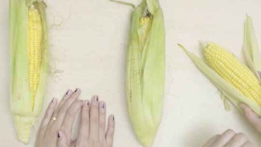 分辨三种不同的玉米