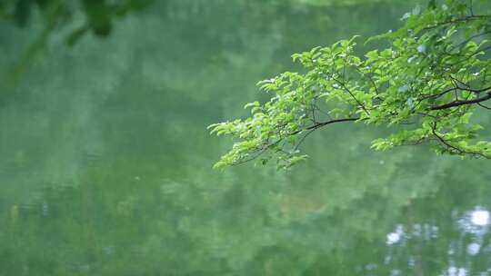 水池旁实拍背景