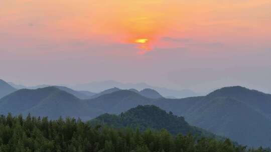 航拍浙江山区竹山竹林竹海唯美日落