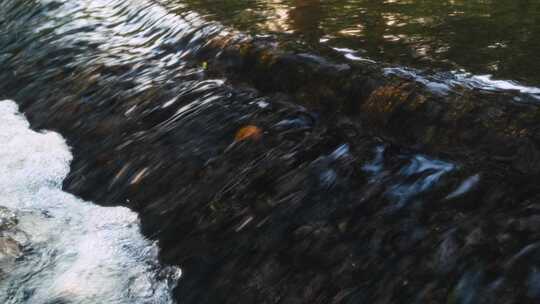 石间流动的清澈溪水视频素材模板下载
