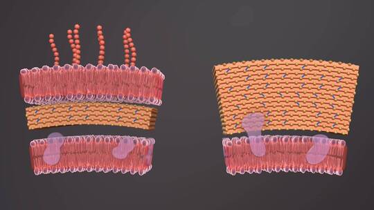 医学病原体病毒病原体病菌细菌医学三维动画