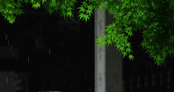 江南雨季中式园林建筑绿植雨滴空镜