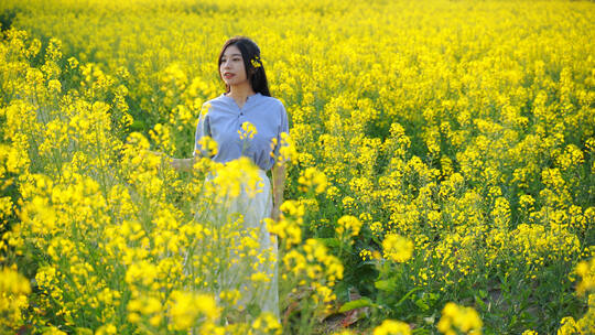 油菜花海里的少女春天赏花闻花香女孩抚摸花