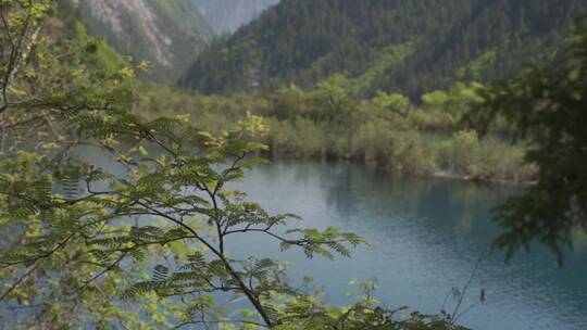 九寨沟风景