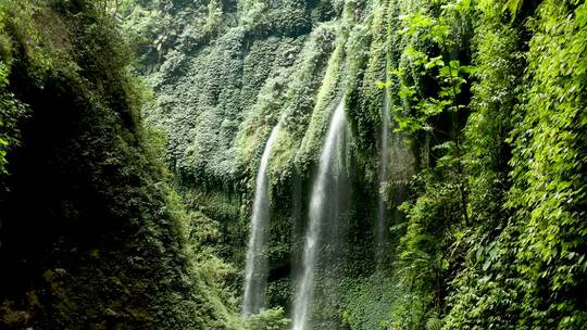 风景 森林 山丘 山谷