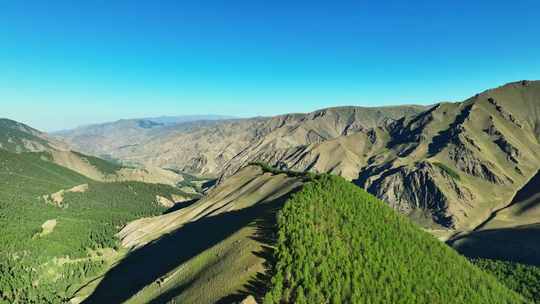 航拍新疆东天山原始森林高山草原风光