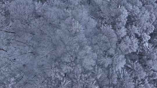 航拍东北下暴雪林海雪原威虎山