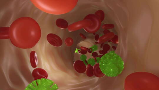 血液中冠状病毒的3D渲染可视化