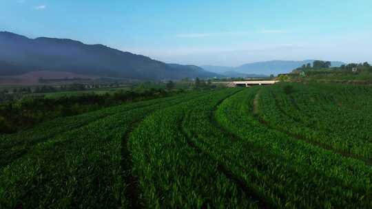 宁夏固原市六盘山森林公园