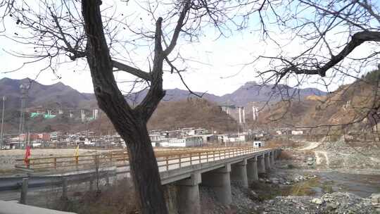 旅行 沿途 风景 公路 树