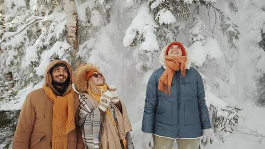 男人，女人，树，雪