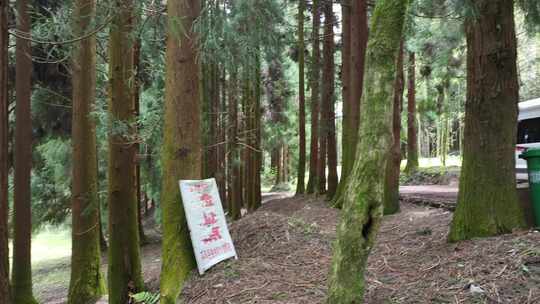 平坝区国营大坡林场航拍