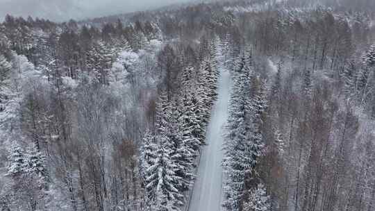 航拍东北下暴雪林海雪原威虎山影视城