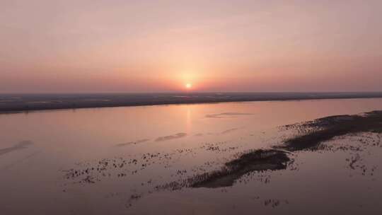 黄河入海口湿地