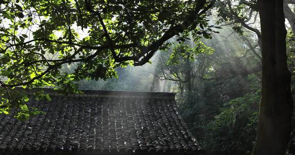 杭州法云安缦古典建筑丁达尔光影晨雾树林