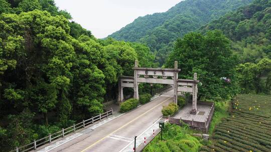 杭州西湖梅家坞梅灵路隧道航拍春天