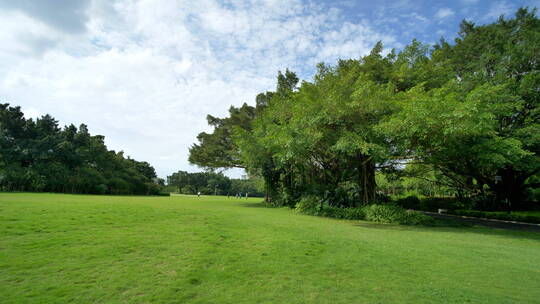 蓝天阳光草坪公园草地绿地