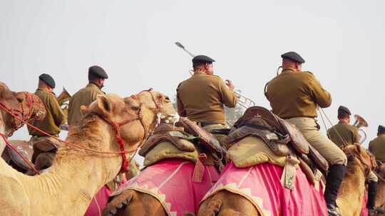 印度军队骑骆驼参加共和国日游行