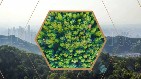 地产小视频15秒