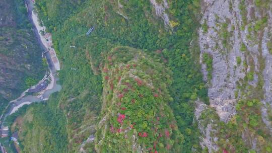 航拍净坛峰红叶