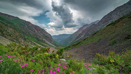 阿尔卑斯山美丽的山景全景与绿色的鲜花山地牧场