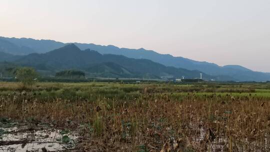 美丽乡村建设