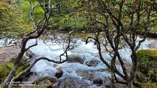 川西，木格错，自然美景